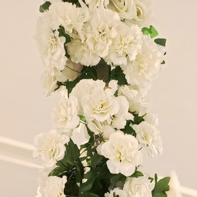 Profile picture of Muhammad Saad